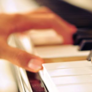 红杏归来张雅丹怀孕小说TXT下载
