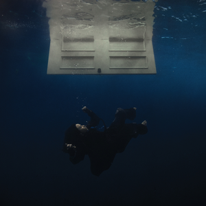 红杏归来张雅丹怀孕小说TXT下载
