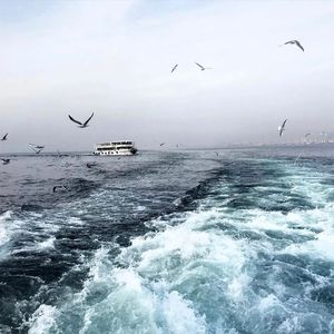 红杏归来张雅丹怀孕小说TXT下载
