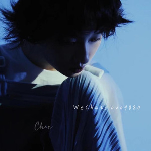 红杏归来张雅丹怀孕小说TXT下载
