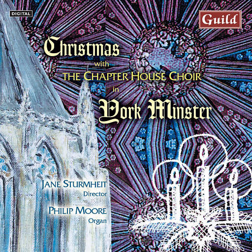 红杏归来张雅丹怀孕小说TXT下载
